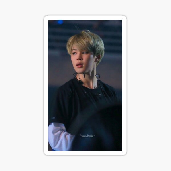 Mochi Jimin Stickers Redbubble