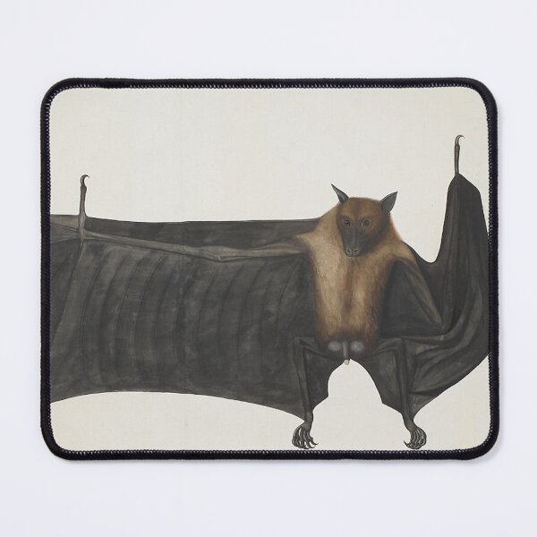 Item preview, Great Indian Fruit Bat designed and sold by AnimaliaStar.