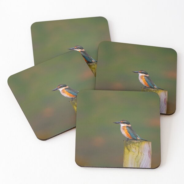 Item preview, Colourful, watchful lone Sacred Kingfisher designed and sold by DVart-nz.