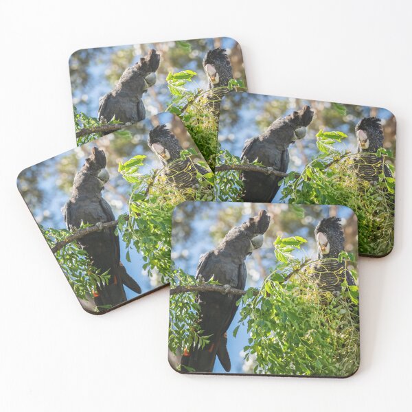 Item preview, Male and Female Red-tailed Black-cockatoo #1 designed and sold by Images by Chris de Blank.