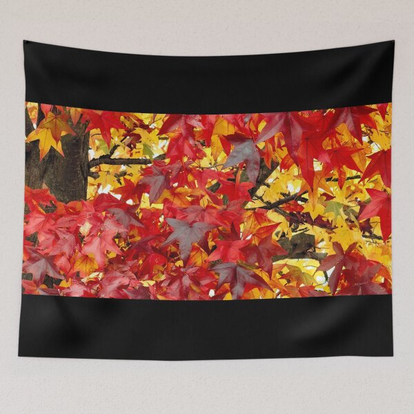 Item preview, Maple in Full Fall Beauty - Abstract Artwork  designed and sold by Adam Gormley.