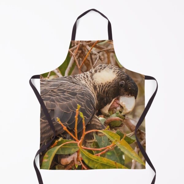 Item preview, Female Baudin's Starting on a gumnut designed and sold by Images by Chris de Blank.