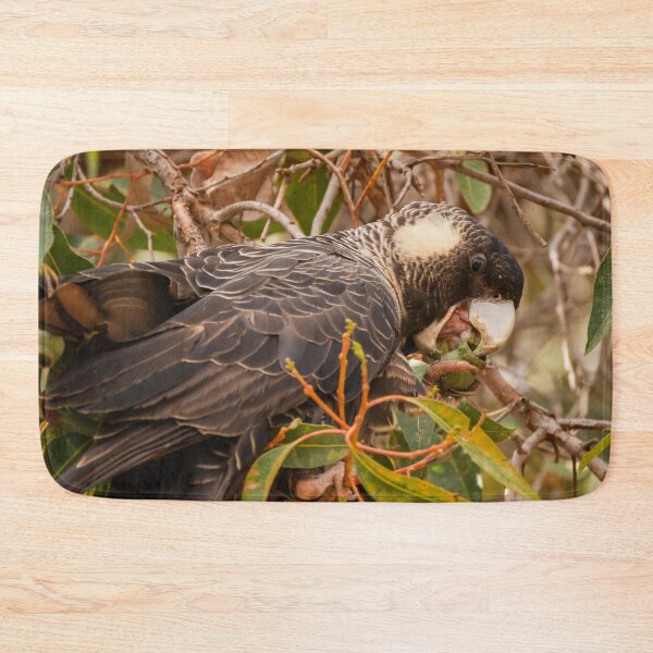 Item preview, Female Baudin's Starting on a gumnut designed and sold by Images by Chris de Blank.