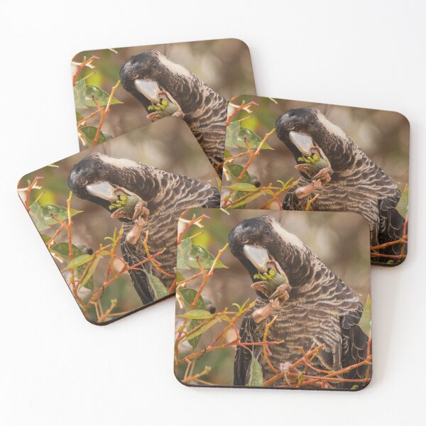 Item preview, Female Baudin's Cockatoo Eating Gumnut designed and sold by Images by Chris de Blank.
