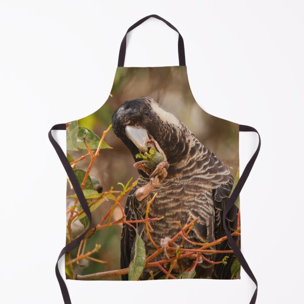 Item preview, Female Baudin's Cockatoo Eating Gumnut designed and sold by Images by Chris de Blank.