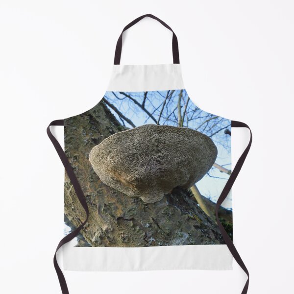 Item preview, Oak Mazegill - Bracket Fungi designed and sold by wiggyofipswich.