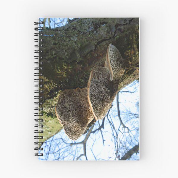 Item preview, Three In One - Bracket Fungi designed and sold by wiggyofipswich.