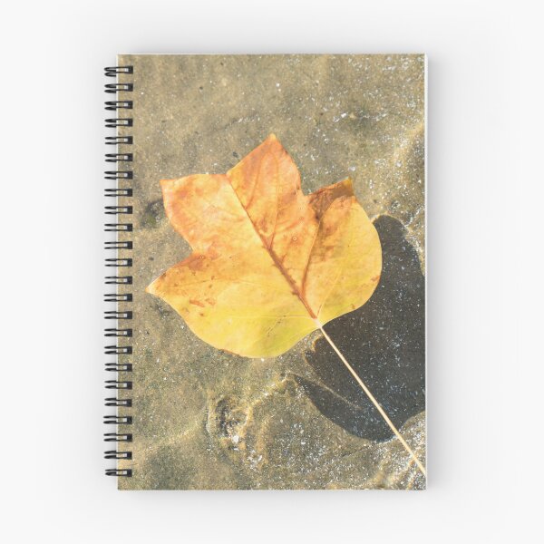 Item preview, Autumn Bijou - Golden Tulip Tree Leaf and Sunshine designed and sold by Georgia Mizuleva.
