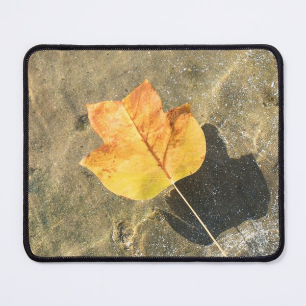 Item preview, Autumn Bijou - Golden Tulip Tree Leaf and Sunshine designed and sold by Georgia Mizuleva.