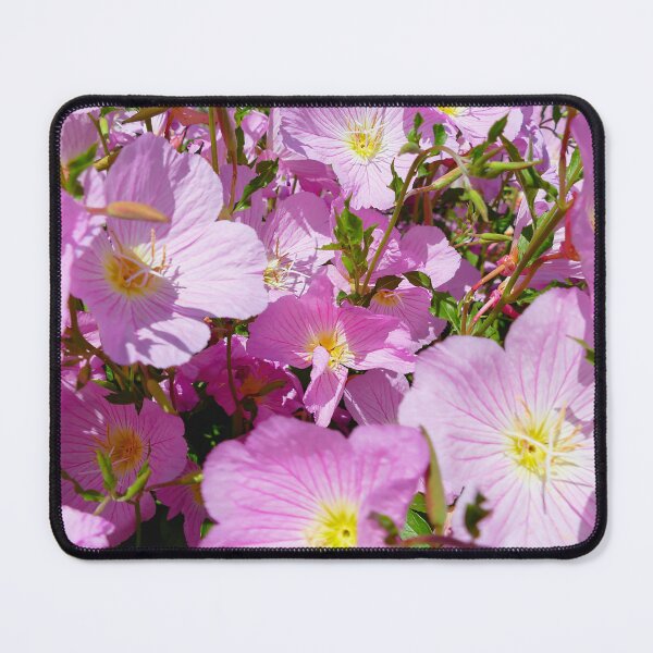 Item preview, Pink Evening Primrose Flowers in the Garden designed and sold by jaynerushton.