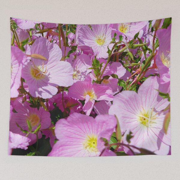 Item preview, Pink Evening Primrose Flowers in the Garden designed and sold by jaynerushton.