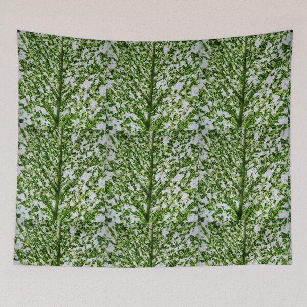 Item preview, Leaf 4 - (c) ben yassa designed and sold by beny .