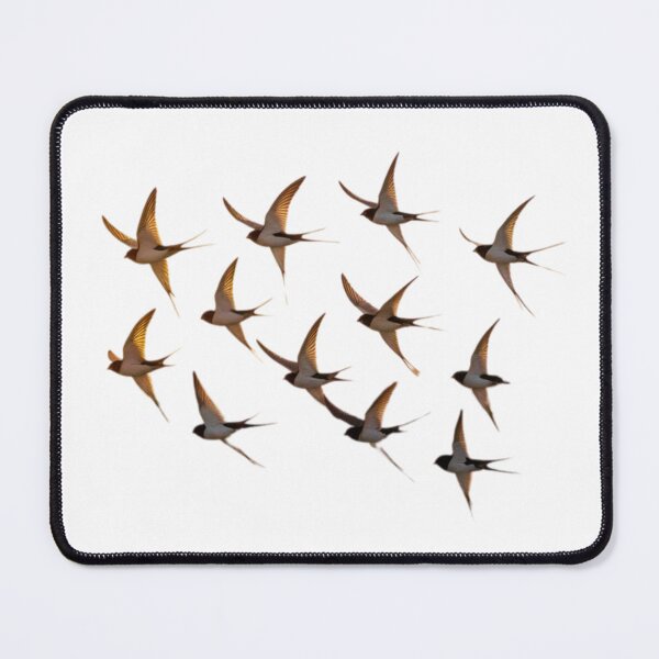 Item preview, Barn swallows flying designed and sold by PattaZone.