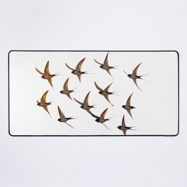 Item preview, Barn swallows flying designed and sold by PattaZone.