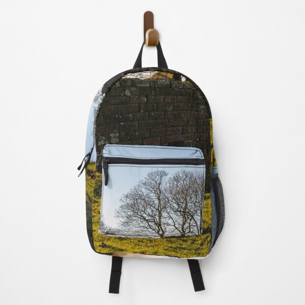 Item preview, Roach End barn in the Staffordshire Peak District. designed and sold by RobThorley.