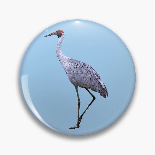 Item preview, Brolga Color Design  designed and sold by designsasstultd.
