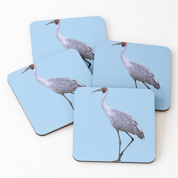 Item preview, Brolga Color Design  designed and sold by designsasstultd.