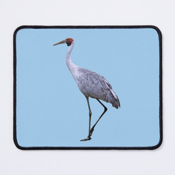 Item preview, Brolga Color Design  designed and sold by designsasstultd.