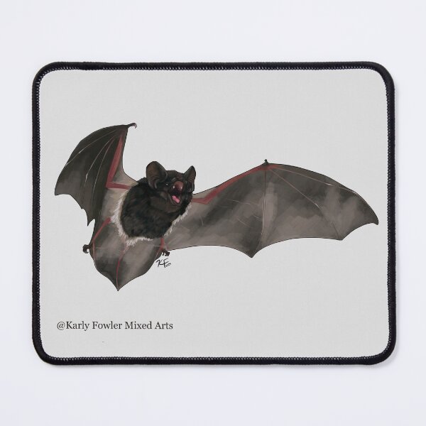 Item preview, Back Our Bats: Large-eared Pied Bat - no text designed and sold by KarlyFMixedArts.