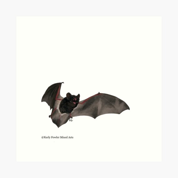 Item preview, Back Our Bats: Large-eared Pied Bat - no text designed and sold by KarlyFMixedArts.