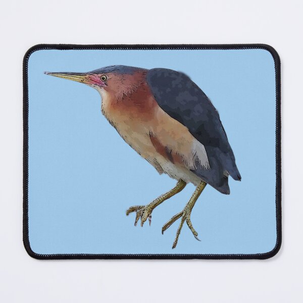 Item preview, Black-backed Bittern Color Design  designed and sold by designsasstultd.