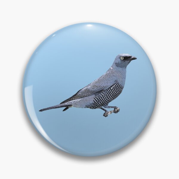 Item preview, Barred Cuckooshrike Color Design  designed and sold by designsasstultd.