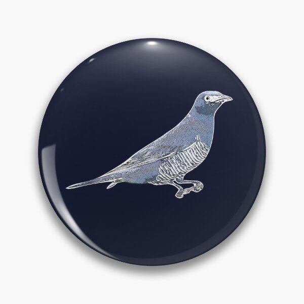 Item preview, Barred Cuckooshrike White Alternate Design  designed and sold by designsasstultd.