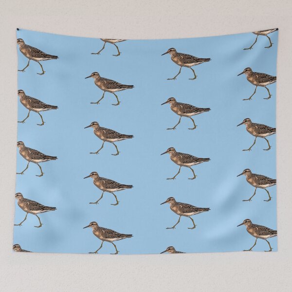 Item preview, Sharp-tailed Sandpiper Color Design  designed and sold by designsasstultd.