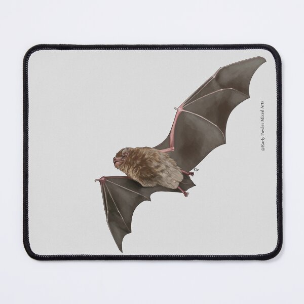 Item preview, Back Our Bats: Southern Bent-wing bat - no text designed and sold by KarlyFMixedArts.