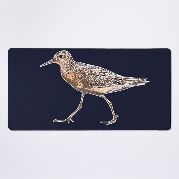 Item preview, Sharp-tailed Sandpiper White Alternate Design  designed and sold by designsasstultd.