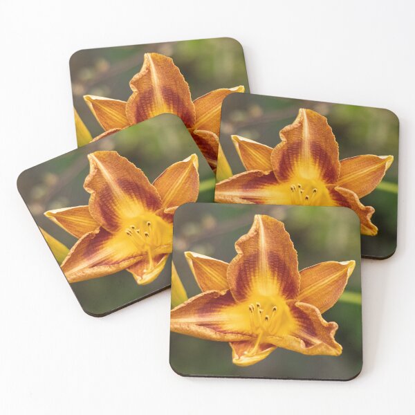 Item preview, Orange Lily designed and sold by Geoff Treagus.
