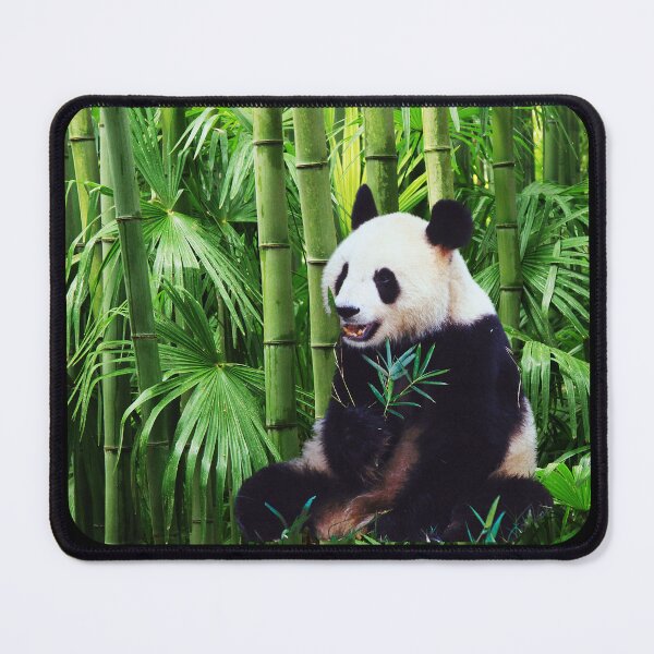 Item preview, Panda in Bamboo designed and sold by PZI Picklewear.