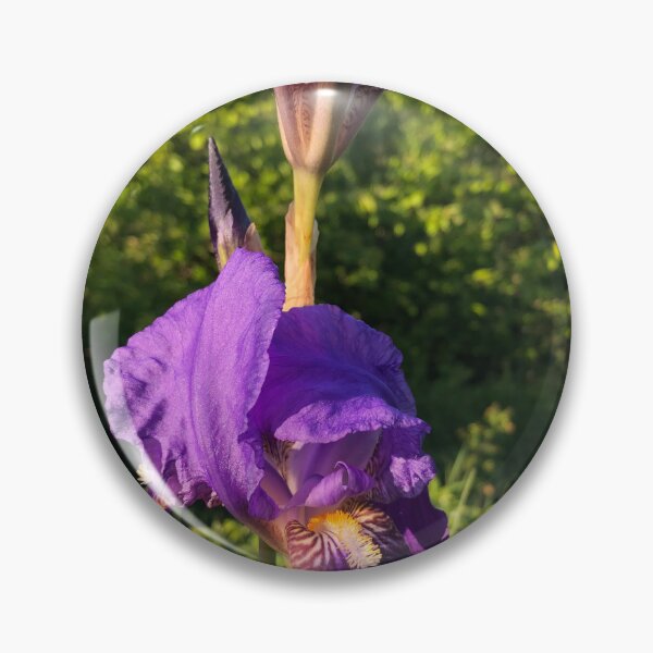 Item preview, Velvety Petals Purple Iris Fowers designed and sold by Quoppidou.