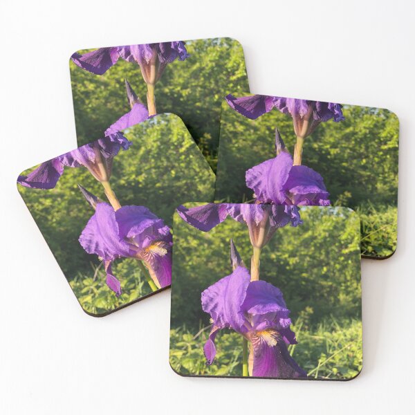 Item preview, Velvety Petals Purple Iris Fowers designed and sold by Quoppidou.