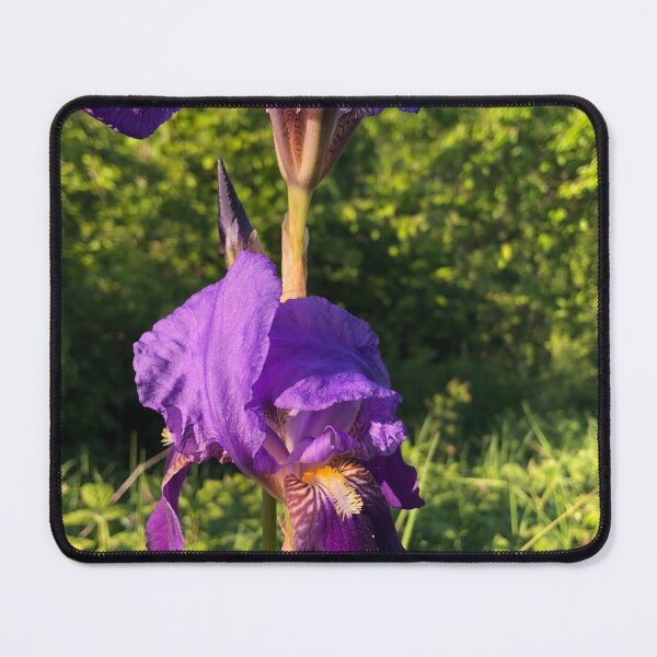 Item preview, Velvety Petals Purple Iris Fowers designed and sold by Quoppidou.