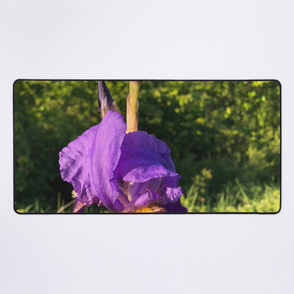 Item preview, Velvety Petals Purple Iris Fowers designed and sold by Quoppidou.