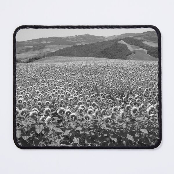 Item preview, 2009 Terra di molise, campo di girasole designed and sold by robertoferrero.