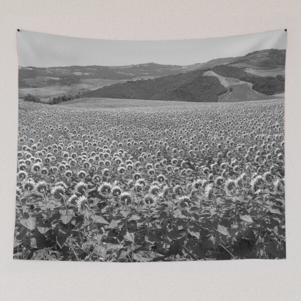Item preview, 2009 Terra di molise, campo di girasole designed and sold by robertoferrero.