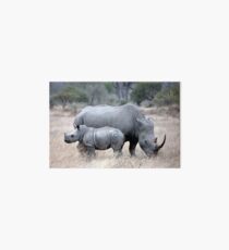 Mother And Baby Rhino Art Board