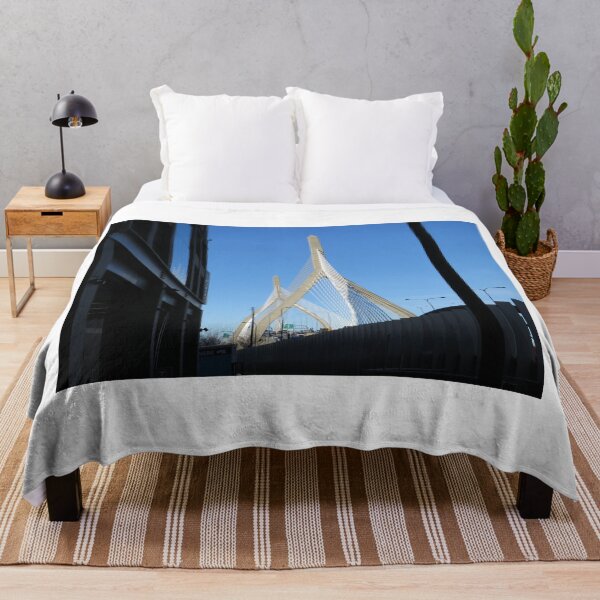 Item preview, Modern Bridge, Modern Architecture, Boston, Massachusetts designed and sold by lenspiro.