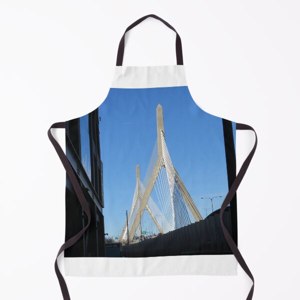 Item preview, Modern Bridge, Modern Architecture, Boston, Massachusetts designed and sold by lenspiro.