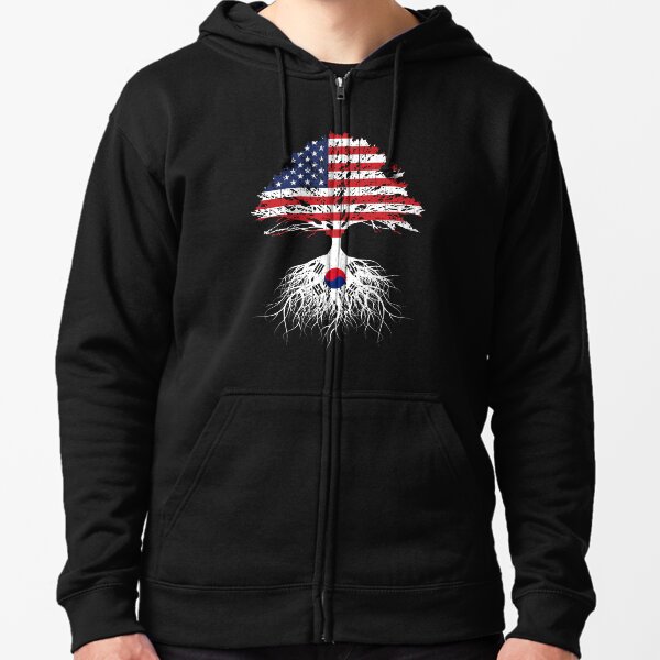 supreme korean flag hoodie