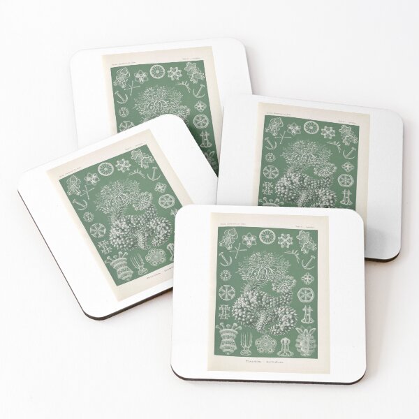 Item preview, Thuroidea. – Gurkensterne  Ernst Haeckel  designed and sold by TeeARTHY.