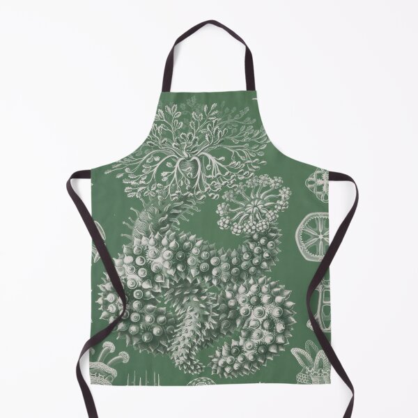 Item preview, Thuroidea. – Gurkensterne Ernst Haeckel designed and sold by TeeARTHY.
