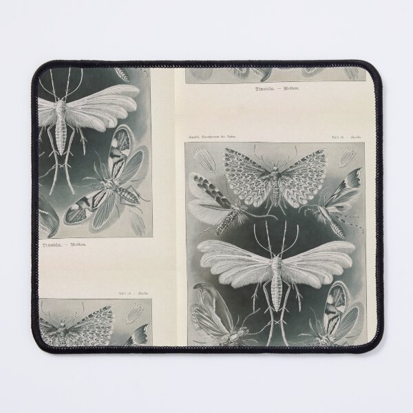 Item preview, Tineida Motten Ernst Haeckel designed and sold by TeeARTHY.