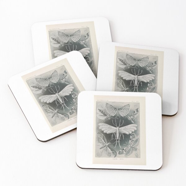 Item preview,  Tineida Motten   Ernst Haeckel designed and sold by TeeARTHY.