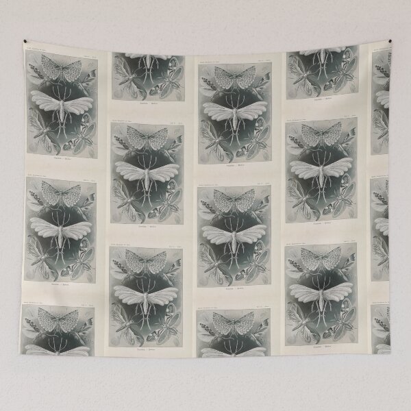 Item preview,  Tineida Motten   Ernst Haeckel designed and sold by TeeARTHY.