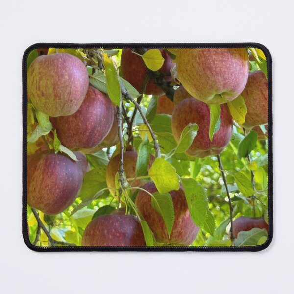 Item preview, Apples: Apples on Apple Tree designed and sold by SoundsoftheSun.