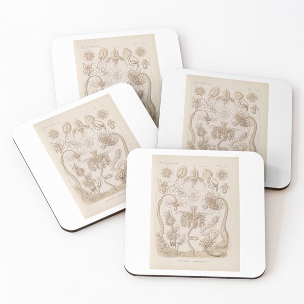 Item preview,  Tubulariae  Röhrenpolnpen  Ernst Haeckel designed and sold by TeeARTHY.