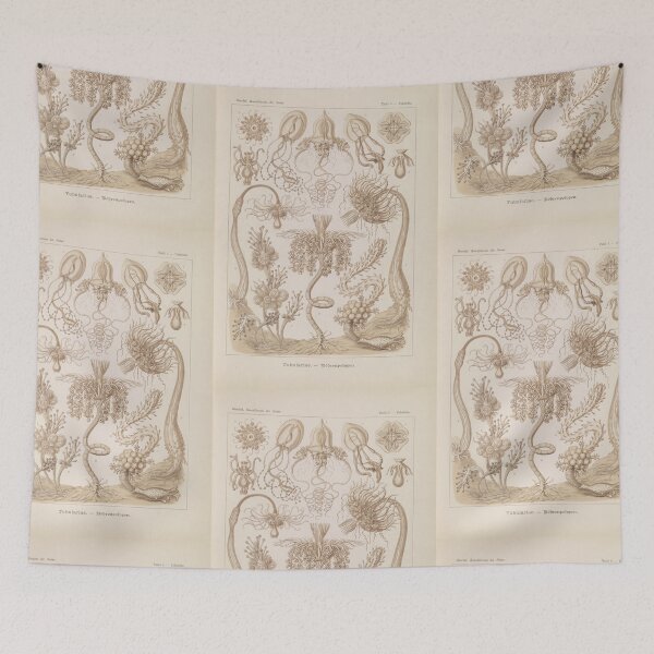 Item preview,  Tubulariae  Röhrenpolnpen  Ernst Haeckel designed and sold by TeeARTHY.